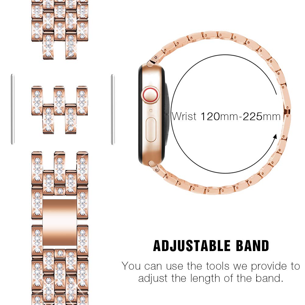 Deliciae Luxe Stainless Steel Band & Case